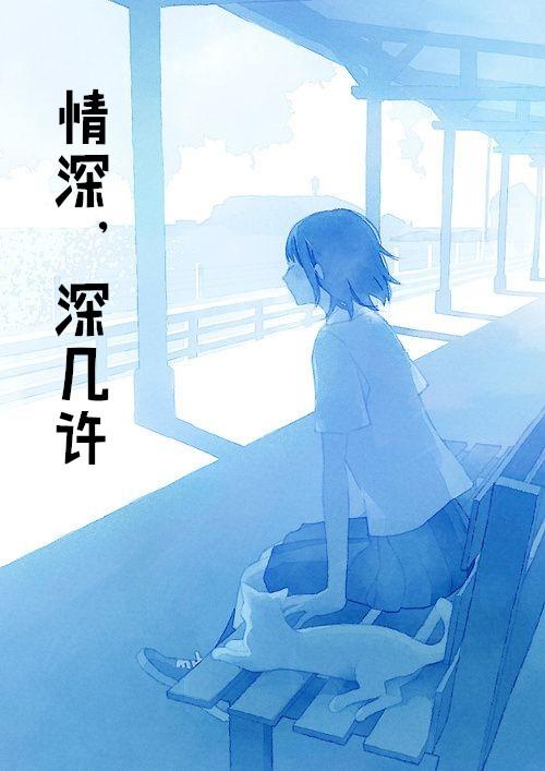 几许换情深求歌名