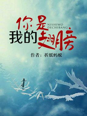 你是我的翅膀全文免费阅读