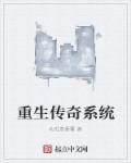 重生传奇百科