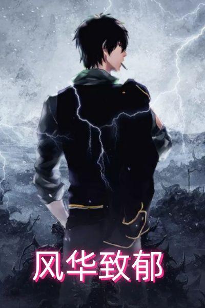 风华止作品