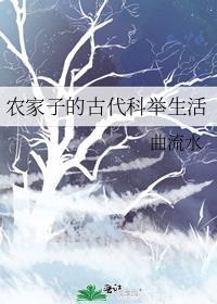 农家子的古代科举生活番外