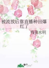 被流放后靠直播种田爆红了残夜水明笔趣阁