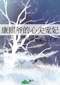 穿越成康熙的心尖宠