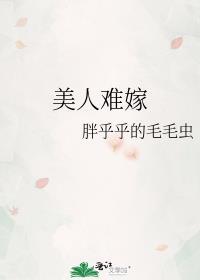 美人难嫁免费阅读