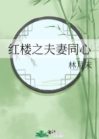 红楼之夫妻同心全文免费阅读