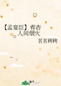 人间烟火孟宴臣和许沁是什么关系