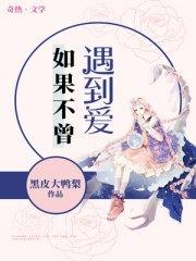 如果不曾遇见你的句子