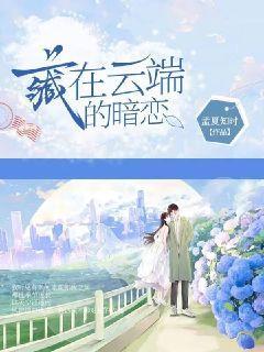 藏在云端的暗恋讲得什么内容