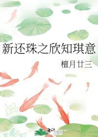 新还珠之折