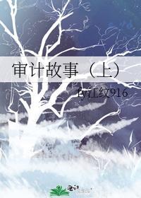 审计人讲审计故事