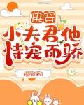 小夫君笔趣阁在线阅读