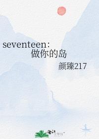 seventeen做你的岛
