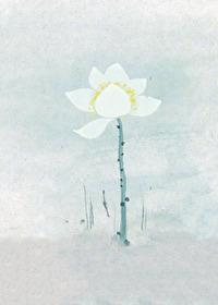 穿成美强惨的白莲师尊免费阅读