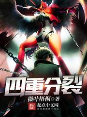 四重分裂介绍