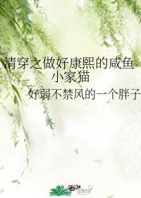 清穿之康熙家的小宠妃最新免费阅读