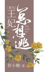 王妃总想逃(重生)