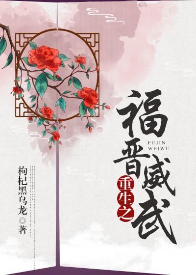 穿越之福晋威武