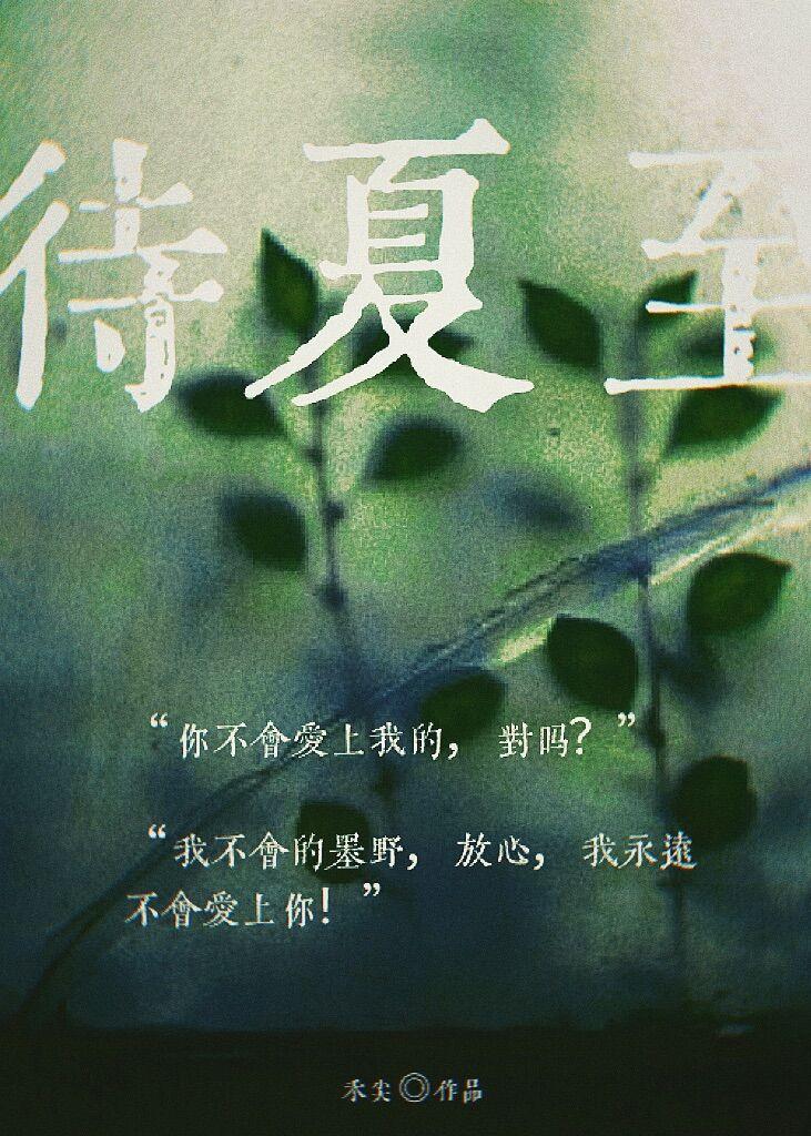 待夏至甜宠追妻