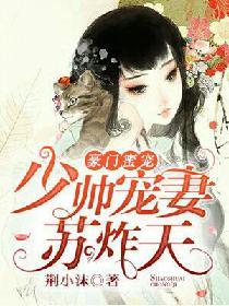 豪门娇妻;少帅太霸道