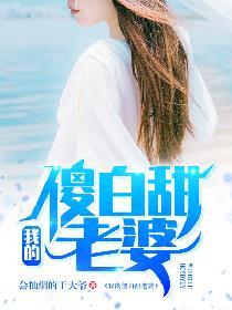 我的傻白甜老婆结局是什么