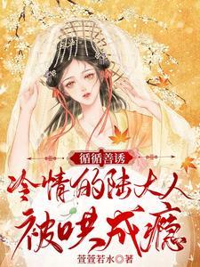 陆大人有人要抢亲全文免费阅读