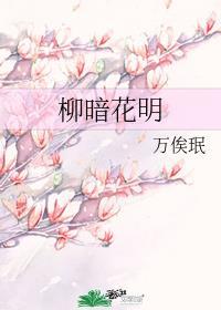 柳暗花明又一村图片