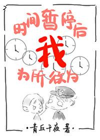 时间暂停以后我为所欲为[无限
