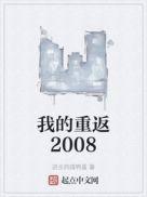 我的重返2008年txt精校版