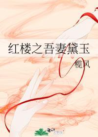 红楼之吾妻黛玉 作者榄风免费