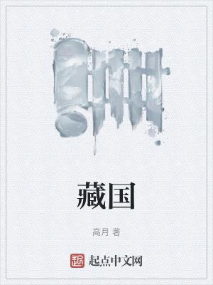藏国笔趣阁全文免费