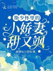 司少的小逃妻