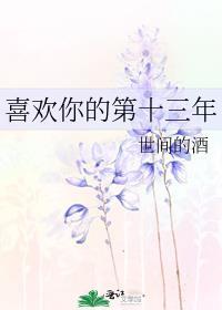 喜欢你的十三年免费阅读全文