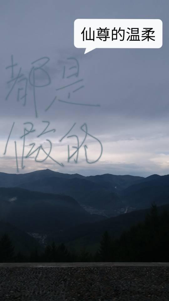 仙尊的温柔都是假的男主喜欢徒弟?