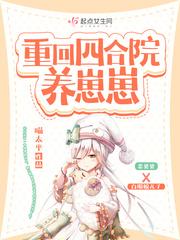 重生四合院一大爷养子