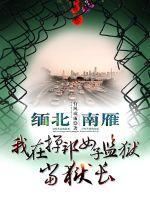 缅北监狱电影