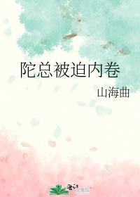 陀总为什么叫陀总