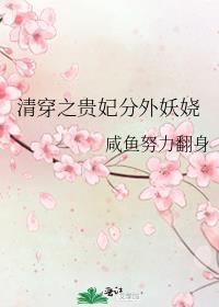 清穿之贵妃传奇