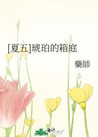 琥珀之夏的意思