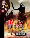 曹贼?我真不是免费全文阅读
