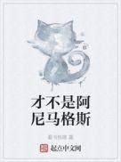 官方测试你的阿尼马格斯形态