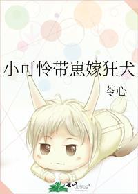 小可怜无防盗