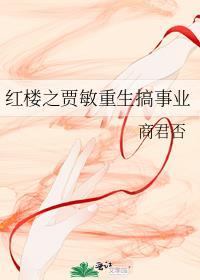 红楼林海贾敏重生书一行