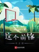 这个前锋不正经 起点