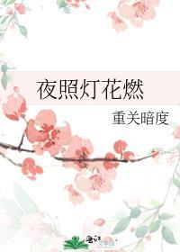 夜照灯花燃26章