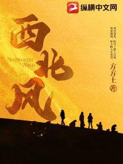 西北风钓深还是钓浅