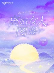 离婚女人图鉴免费阅读
