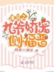 清穿之侧福晋又有喜了文婉