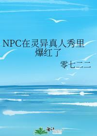 真实npc