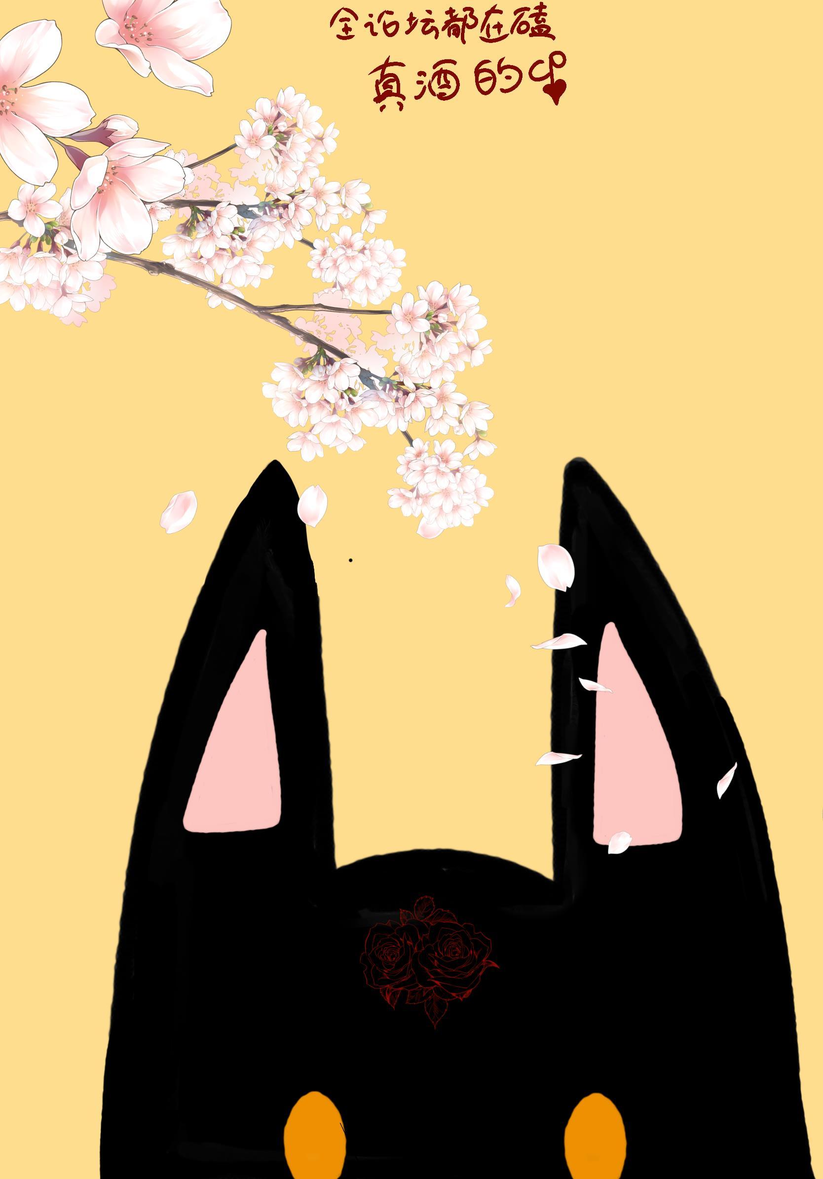 全论坛都在磕真酒的CP格格党