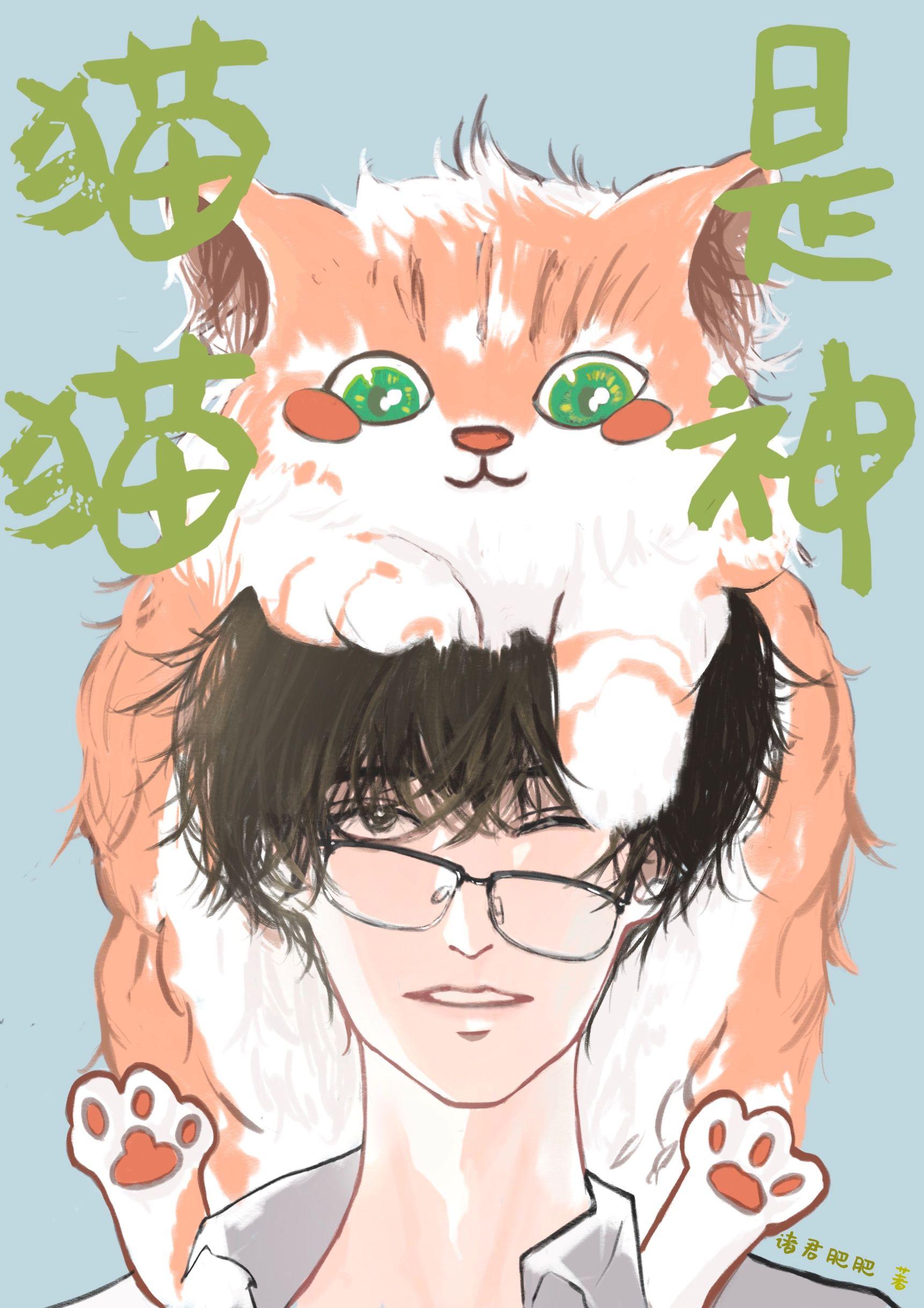 我养的猫是什么猫